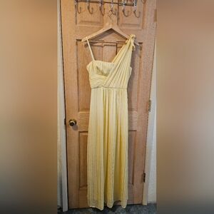 Size 6 BCBG Max Azria "Pale Green" Elegant Grecian Style Evening Gown